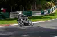Silver_Grey Bikes